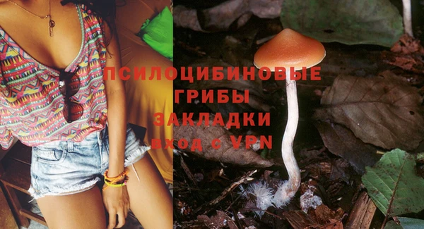 ПСИЛОЦИБИНОВЫЕ ГРИБЫ Краснотурьинск