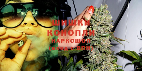 ПСИЛОЦИБИНОВЫЕ ГРИБЫ Краснотурьинск