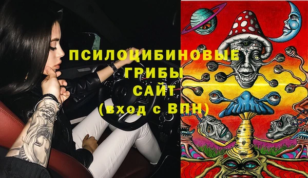 PSILOCYBIN Краснослободск