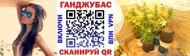 Купить где  Майский  Конопля сатива 